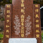 brown chinese tombstone