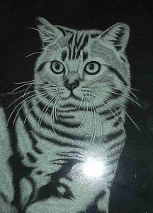 Pet Memorials - Cat
