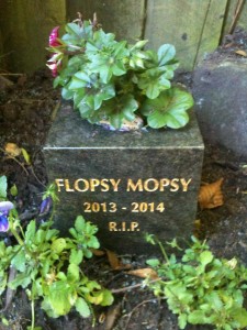 Pet Memorials