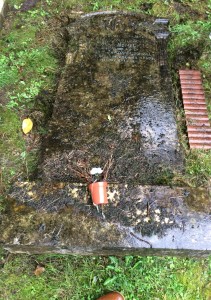 ...Damage can result from weathering and other adverse conditions