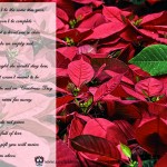 Christmas card to a dearly departed loved one.