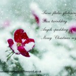 Christmas card to a dearly departed loved one.